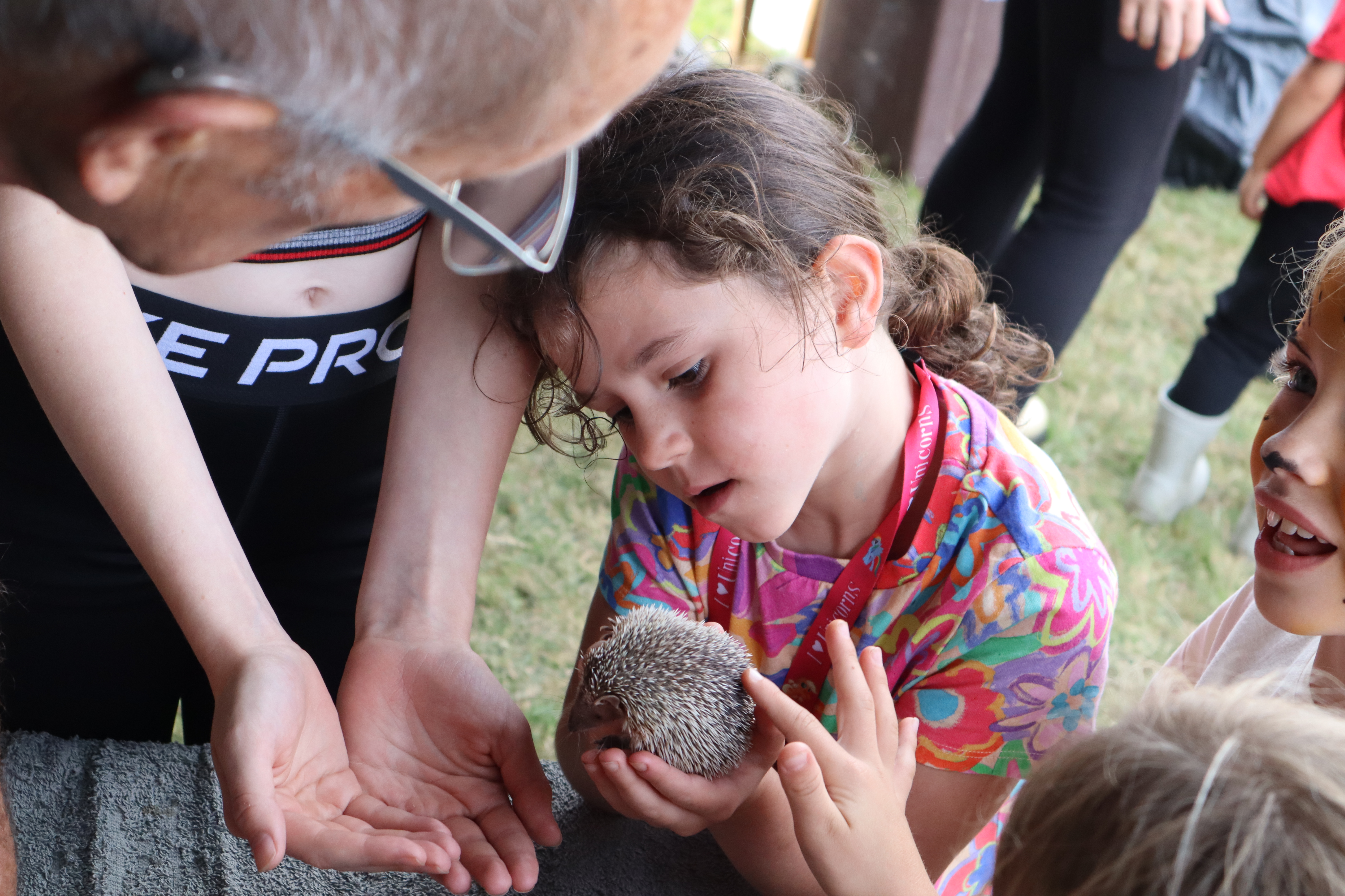Hands-on Mini Zoo experience